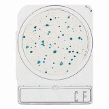 コンパクトドライ06744CF　40枚