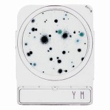 コンパクトドライ06746YM　40枚