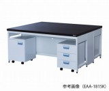 中央実験台EAA-3615K