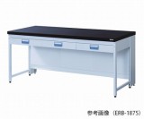 サイド実験台ERB-1575