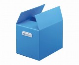 プラダンケース　A式100　5箱