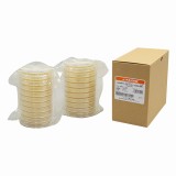 生培地CP加ポテトデキストロース寒天20