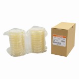 生培地　サブローデキストロース　20枚入