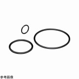 耐熱・耐食パーフロロゴムOリング　2670-BNX　P18