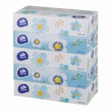 ティッシュペーパー　VINDABOX5個/箱