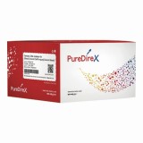 PureDireX PDC09-0100 100 rxns