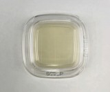 04330　SCDLP寒天　20枚×2