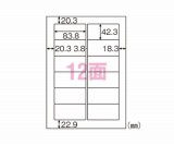 ELM007　エコノミーラベルA4　百枚